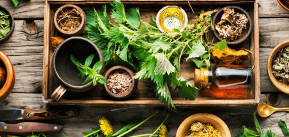circle-diet-medicinal-plants